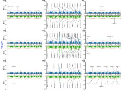 Identifying potential risk genes and pathways for neuropsychiatric and substance use disorders using intermediate molecular mediator information